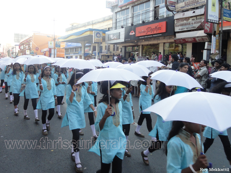 school-kalolsavam (80)